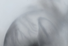 Gefühlte Welt 