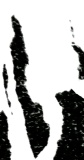 o.T.,  2024,  Fotografie
