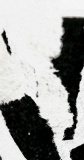 o.T.,  2024,  Fotografie