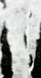 o.T.,  2024,  Fotografie