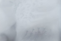 Gefühlte Welt , 2023, Pastell auf Papier,  50 x 70 cm 
